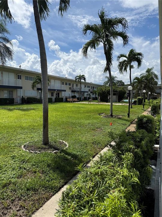 Manicured green space with established palm trees and lush landscaping