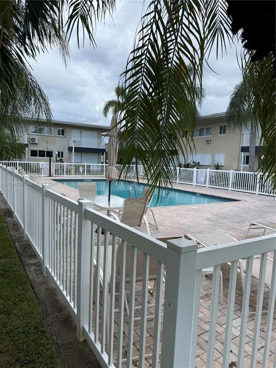 In-ground swimming pool featuring a brick-paver deck, white perimeter fencing, and mature palm trees