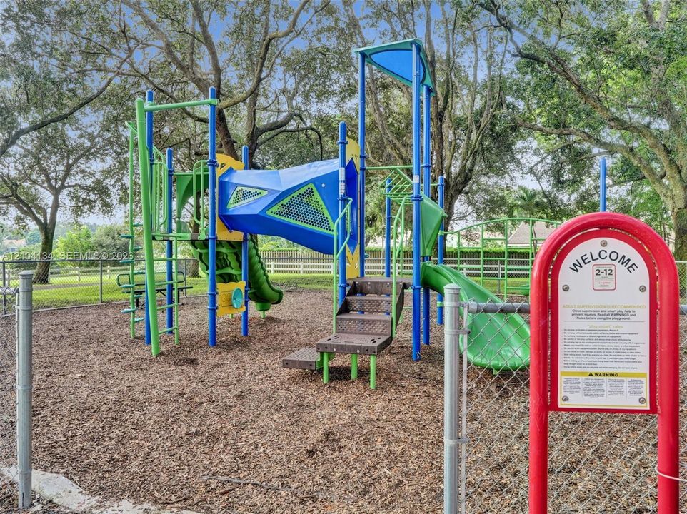 Jungle Gym at the Park!