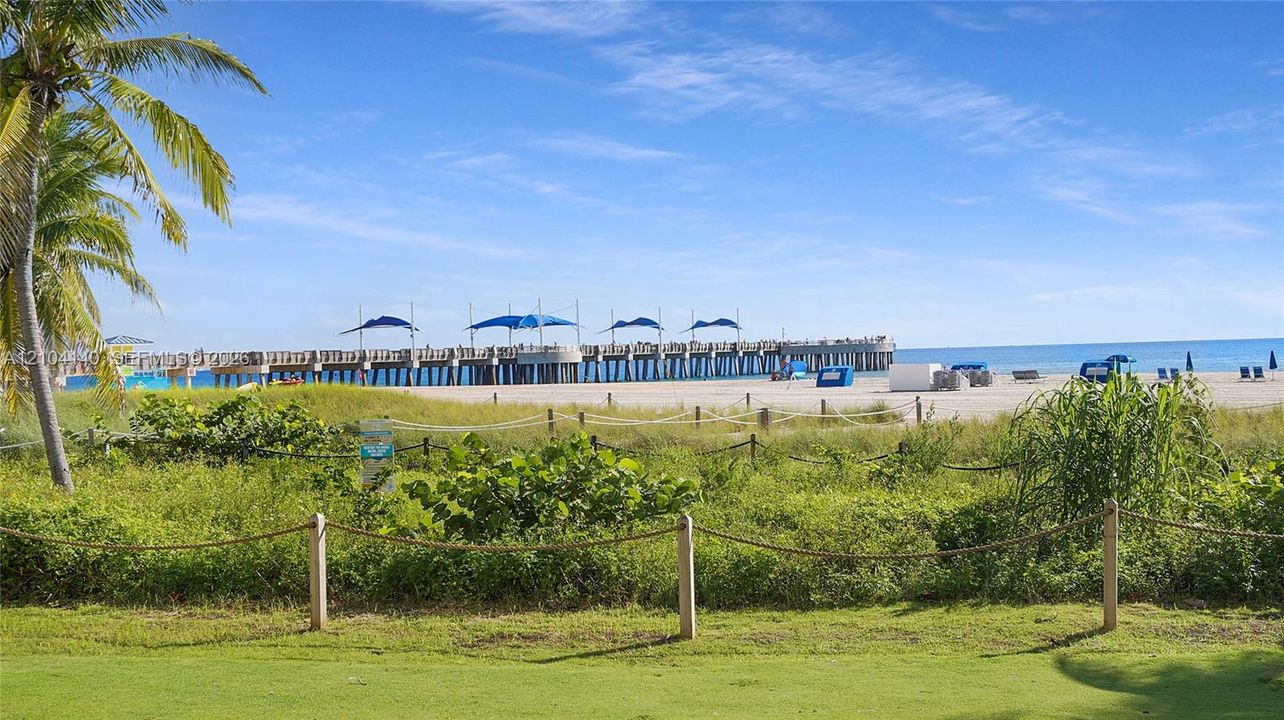 Coastal property featuring manicured grass, a rope-lined perimeter, native sand dunes, and mature palm trees