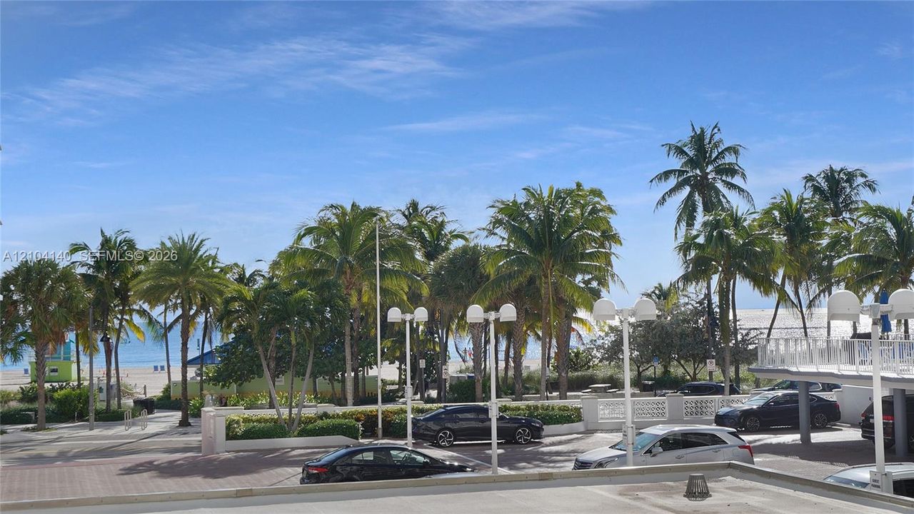 Coastal landscape featuring mature palm trees, white sand, and direct proximity to the oceanfront