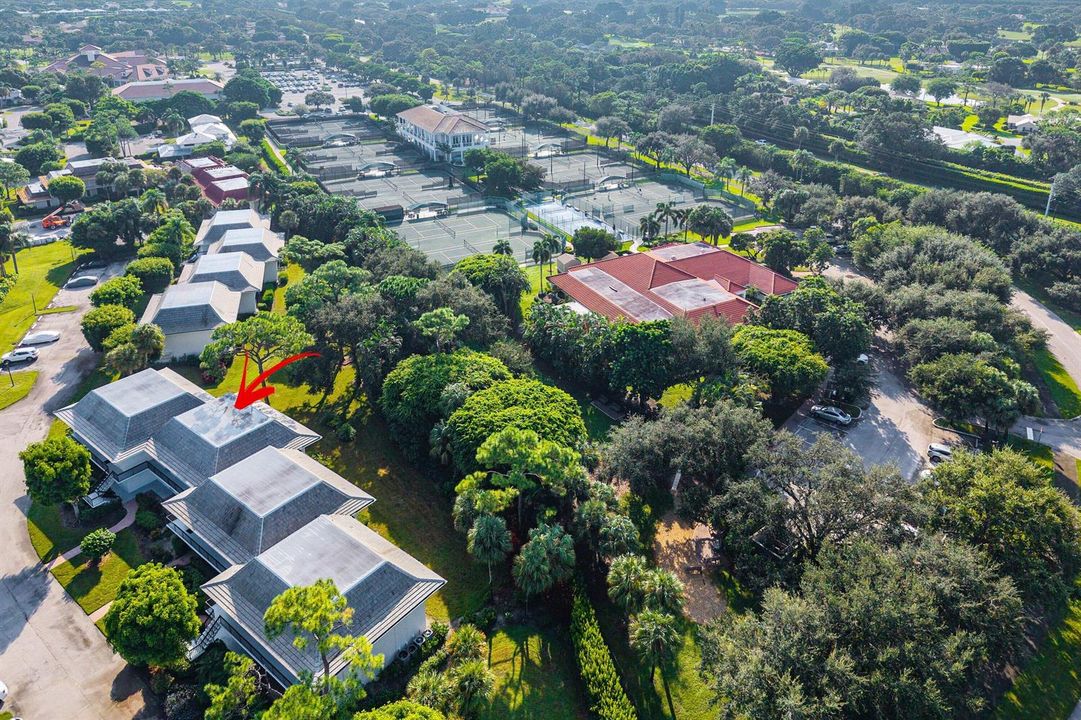 Aerial view