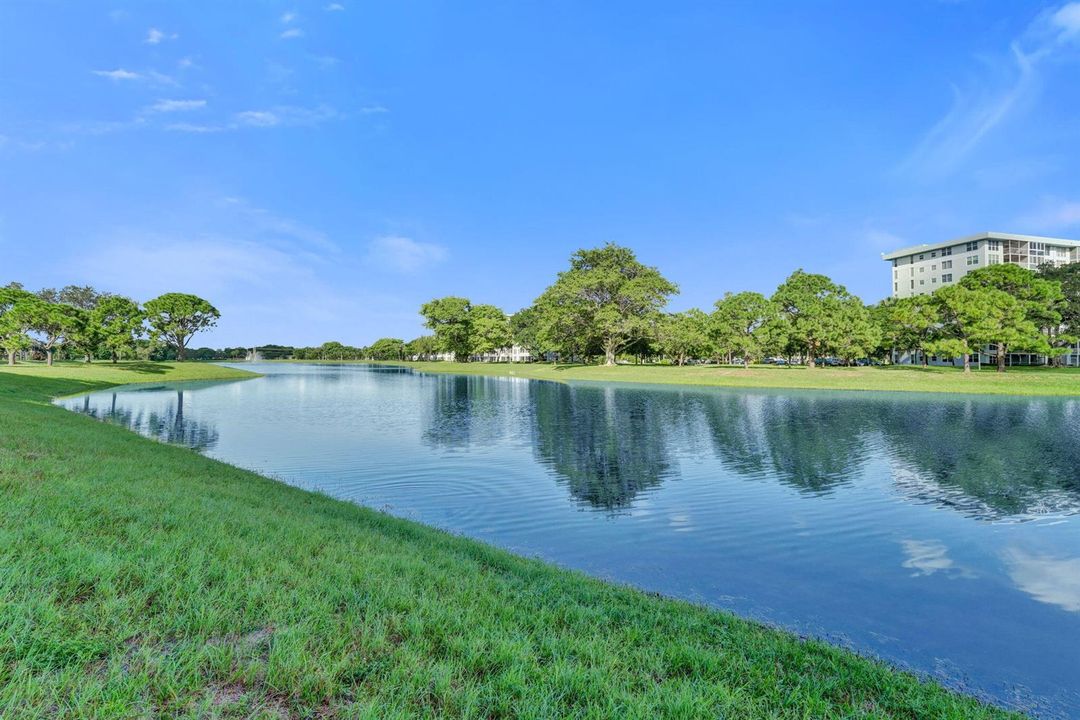 71-web-or-mls-DSC08420