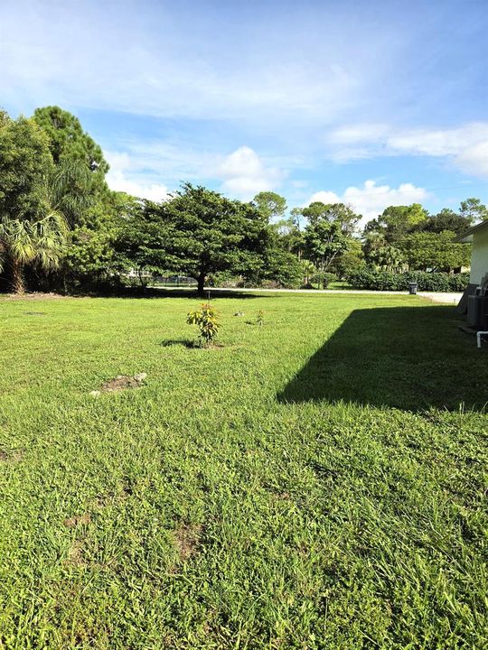 17148 30th Ln N Yard (West)