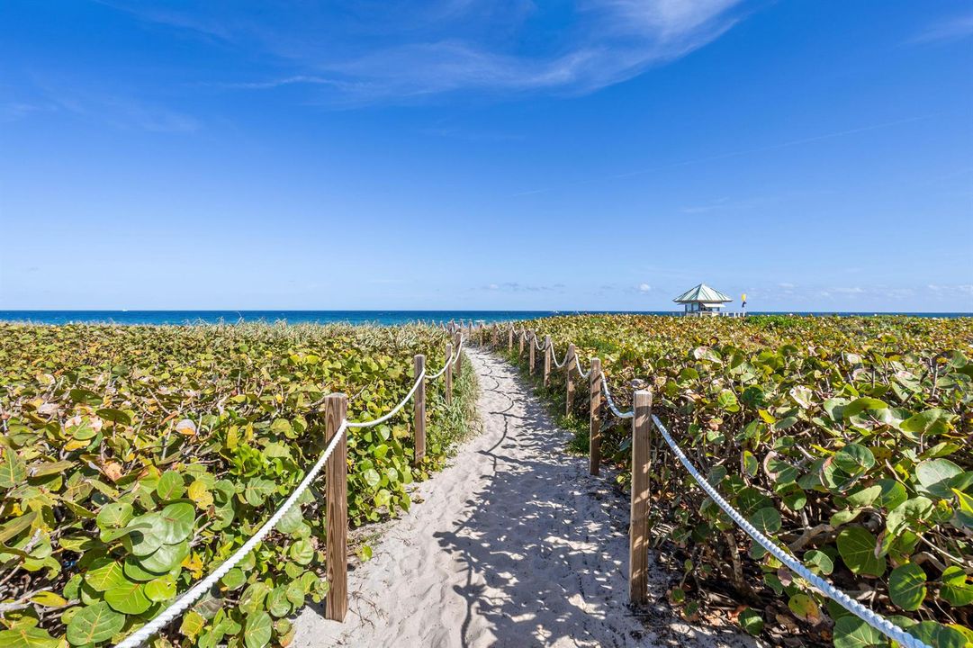 Beach Walkway