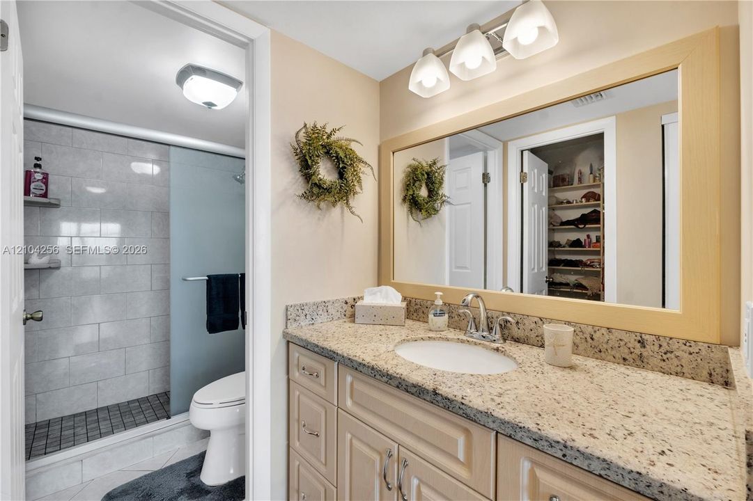 Master Bathroom Vanity Area