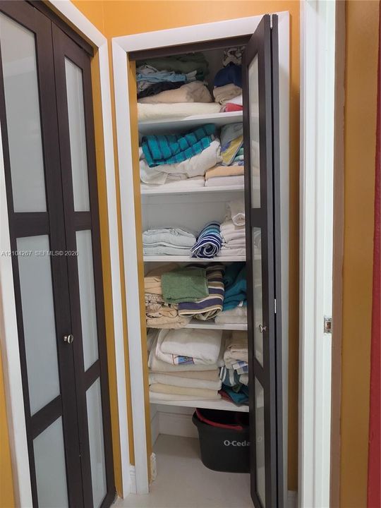 Built-in storage closet featuring multi-panel doors with frosted glass inserts and interior shelving