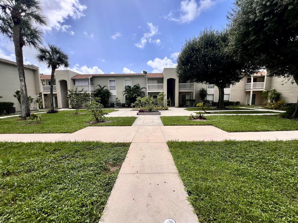 IMG_4892