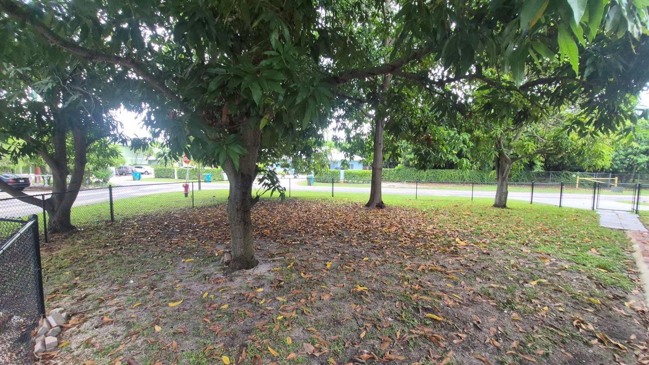 fenced front yard