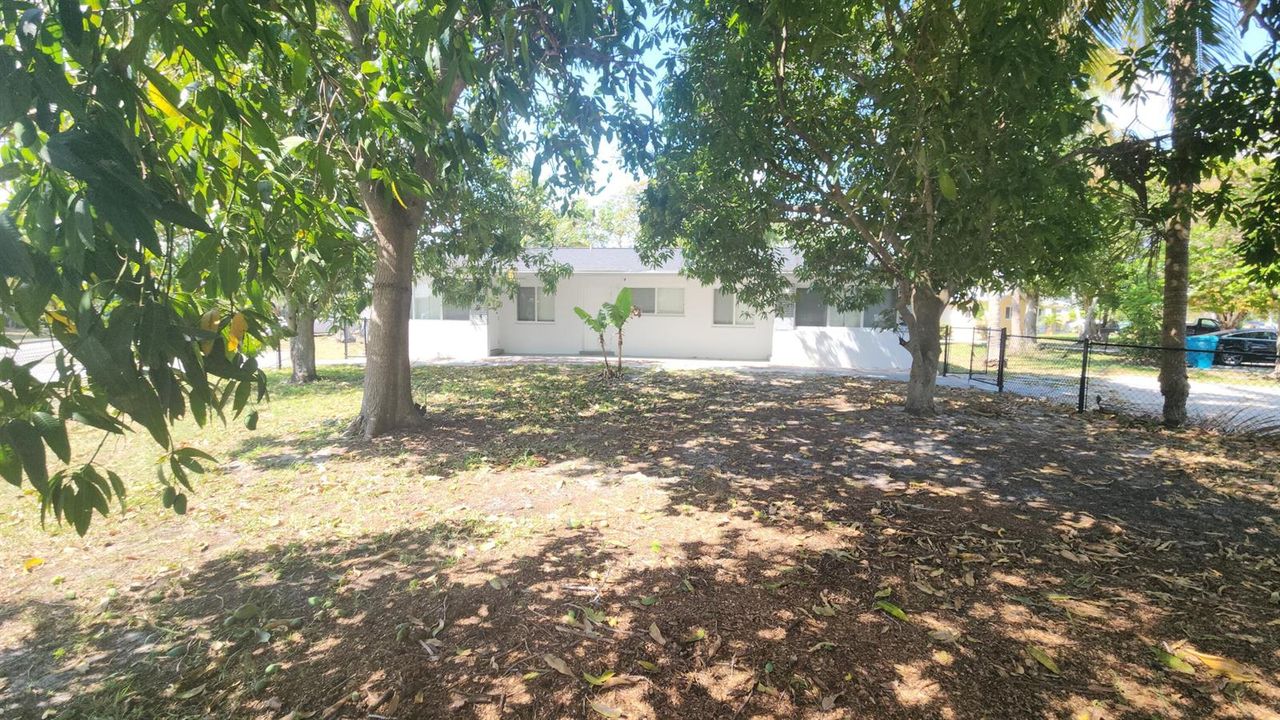 front yard