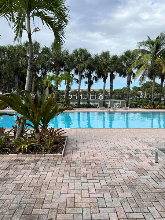 Paloma Pool