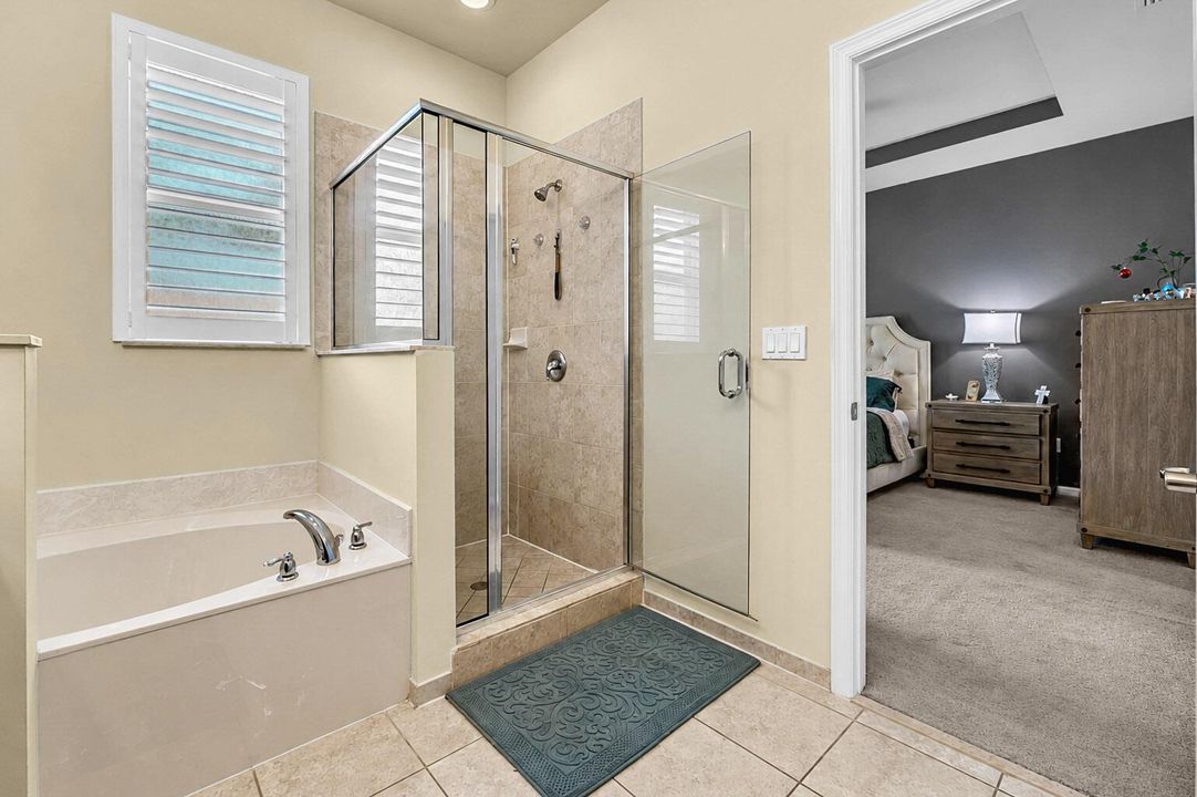 Primary Shower and Roman tub