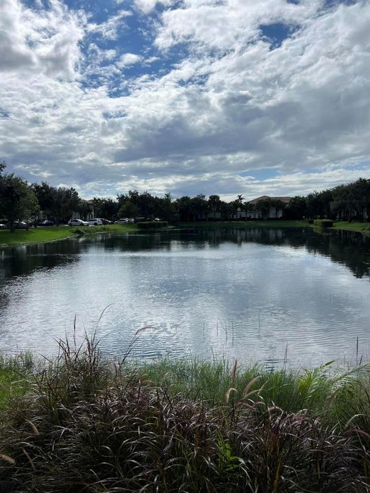 Paloma Lake