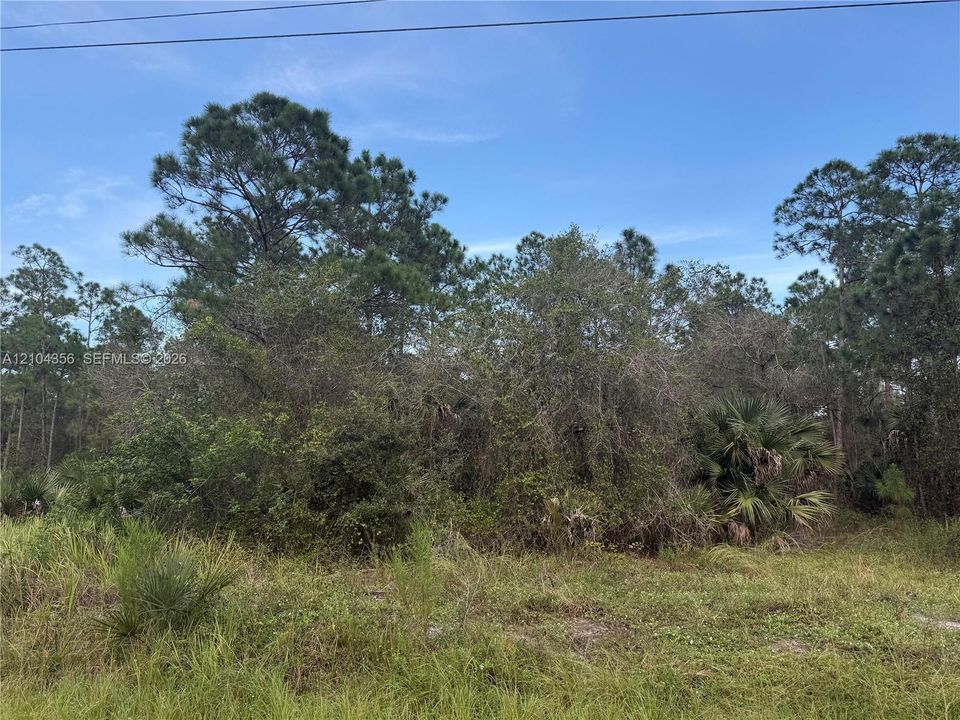 На продажу: $42,999 (1.25 acres)