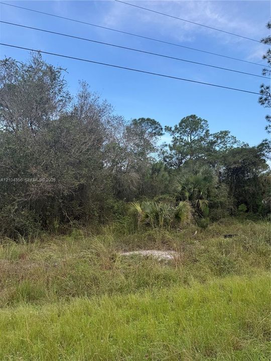 На продажу: $42,999 (1.25 acres)