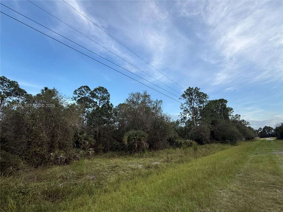 На продажу: $42,999 (1.25 acres)