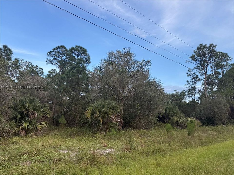 На продажу: $42,999 (1.25 acres)