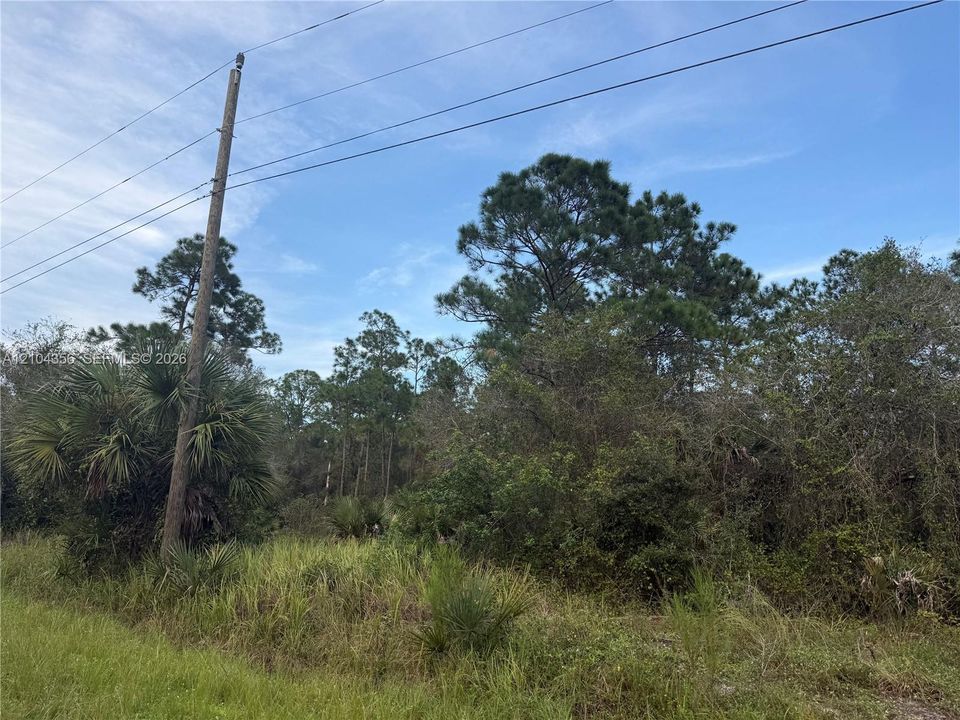 На продажу: $42,999 (1.25 acres)