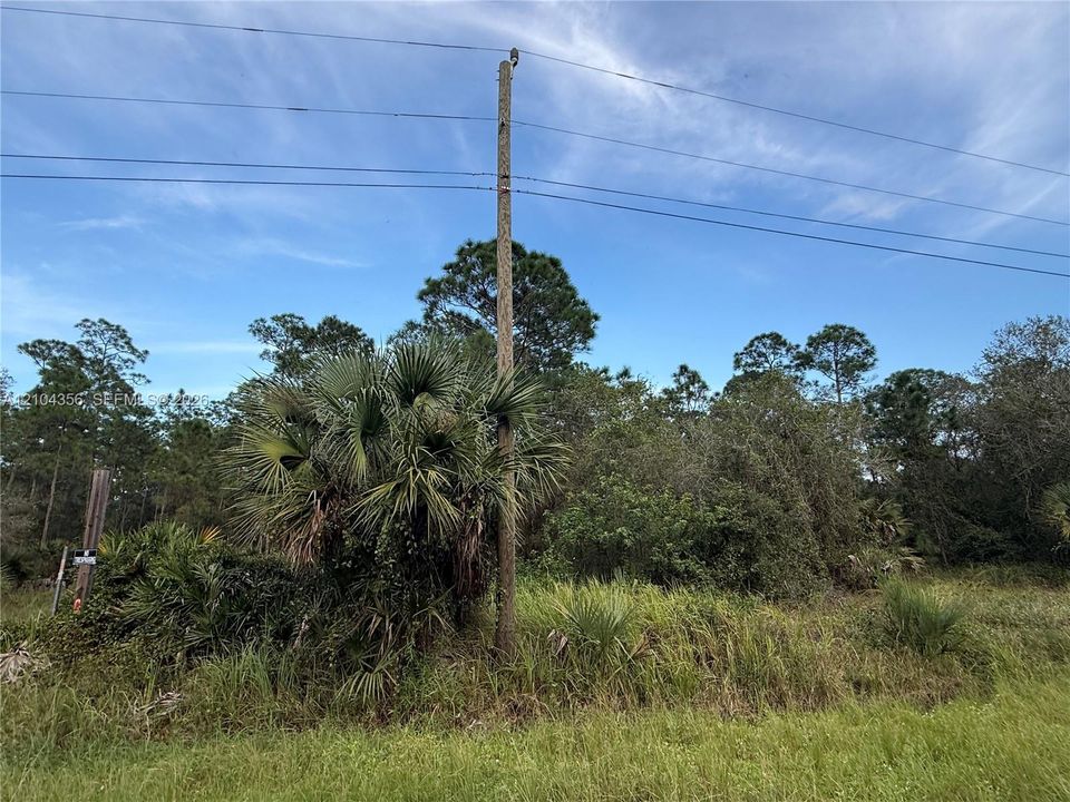 На продажу: $42,999 (1.25 acres)