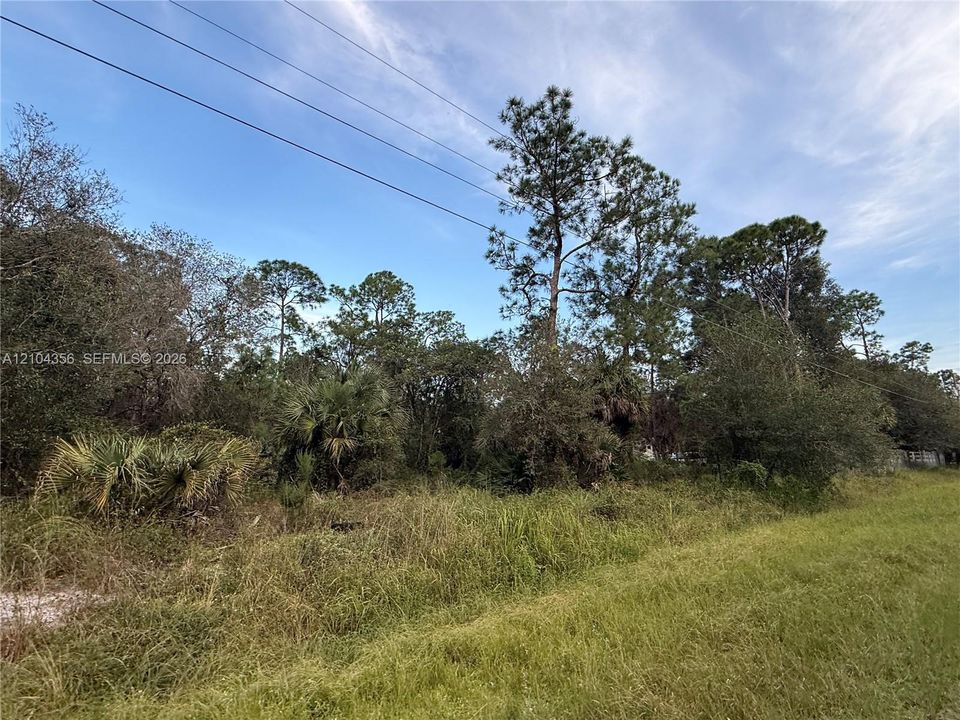 На продажу: $42,999 (1.25 acres)