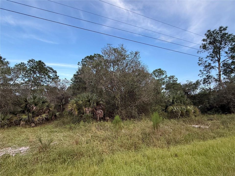 На продажу: $42,999 (1.25 acres)