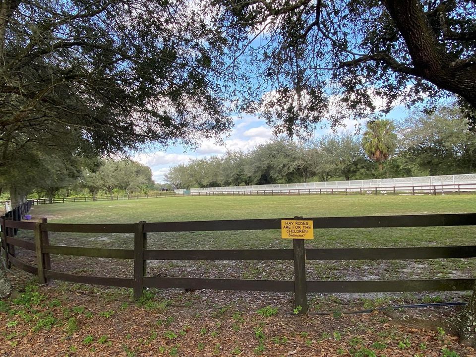08 Nancys Farm 04b