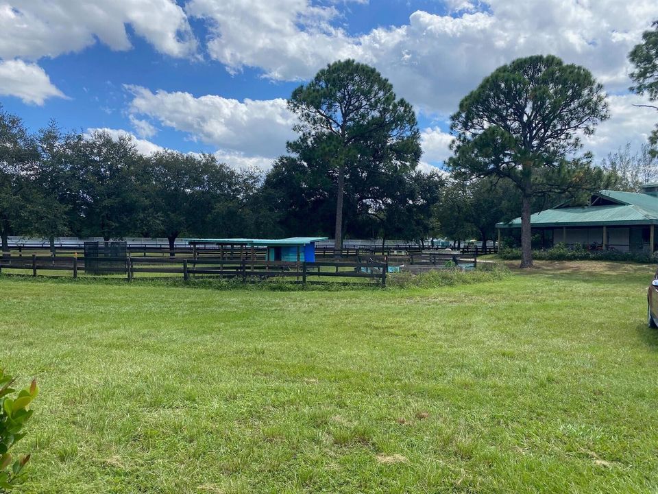 11 Barn and paddocks