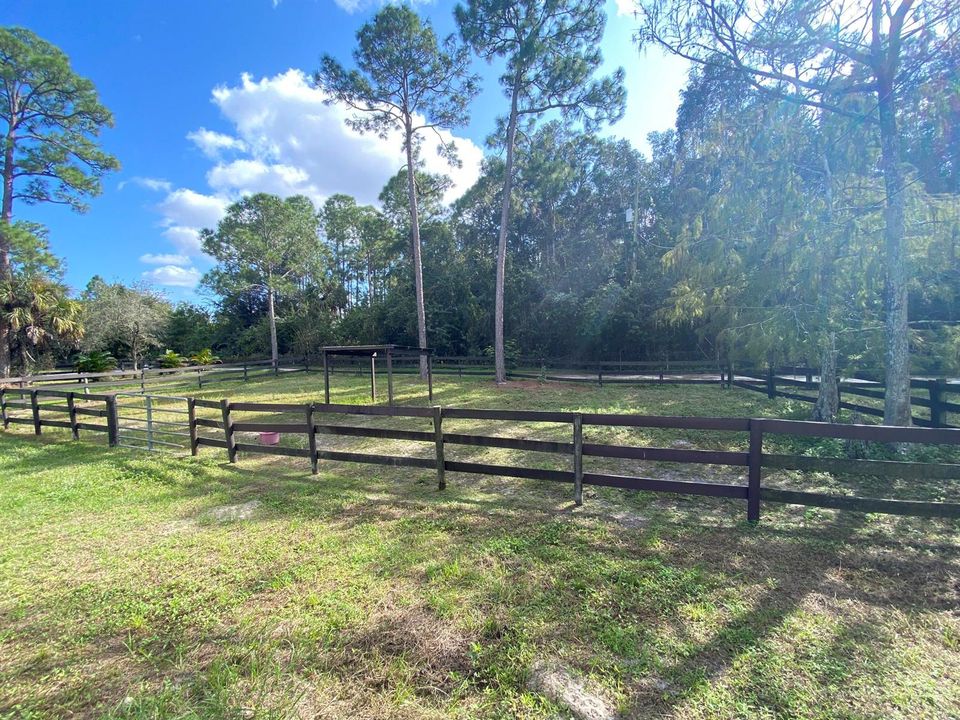 Nancys Farm 06a
