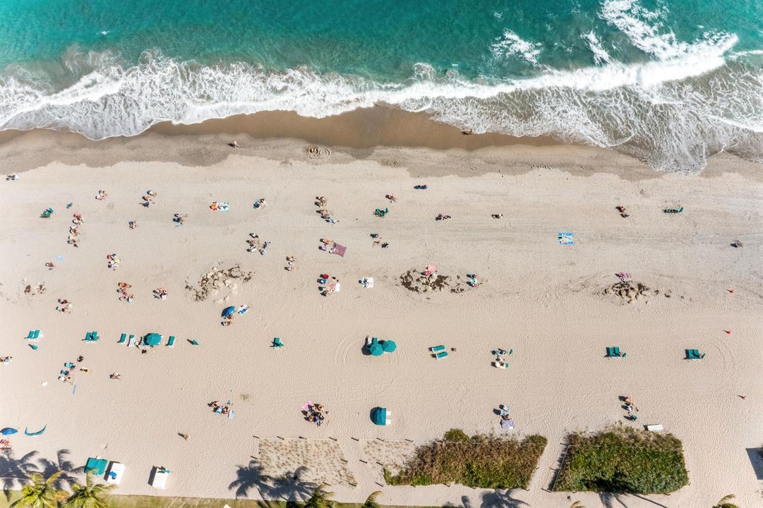 DJI_0660