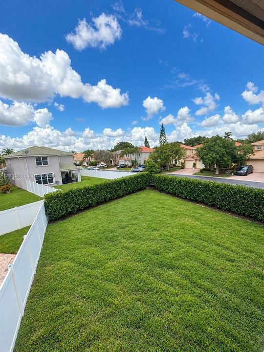Curved swimming pool featuring paved decking, a water feature, and mature palms