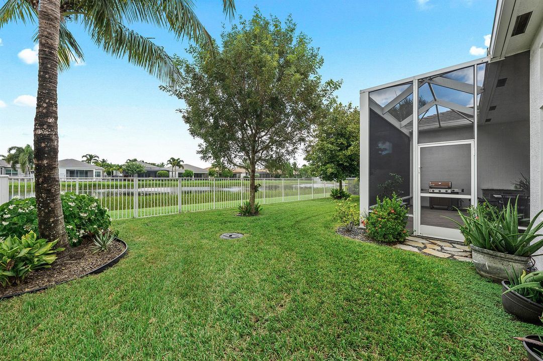 Grassy Area