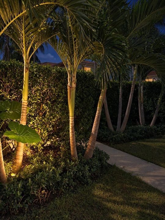 Night_Garden_Front_Walkway