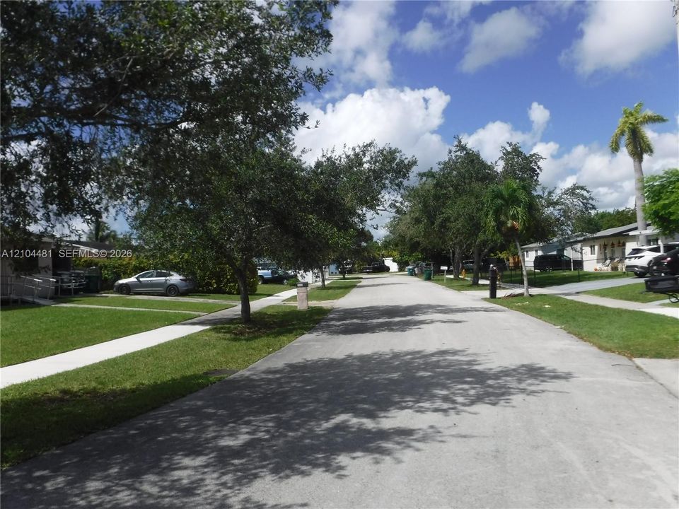 Street Scene In Front of House