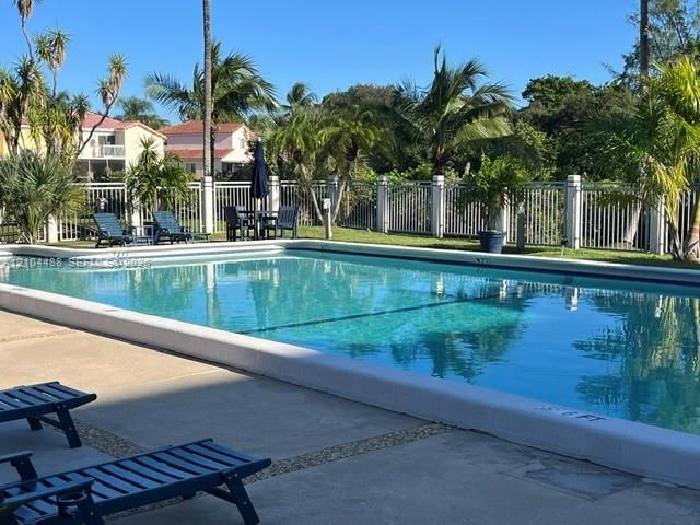 In-ground swimming pool with a concrete deck, enclosed by perimeter metal fencing and surrounded by mature palm trees