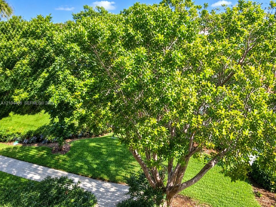 View from Balcony