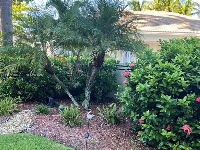 Landscaped exterior grounds featuring mature palm trees, flowering shrubs, and mulch bedding