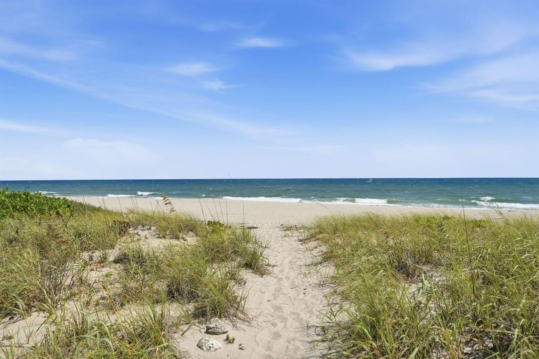 40-web-or-mls-1850_S_Ocean_Blvd_Unit_505