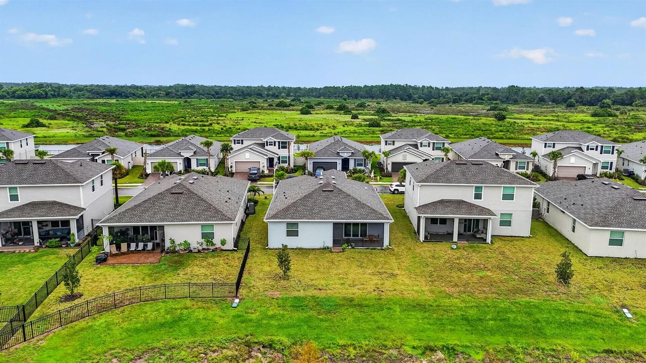 Drone Backyard