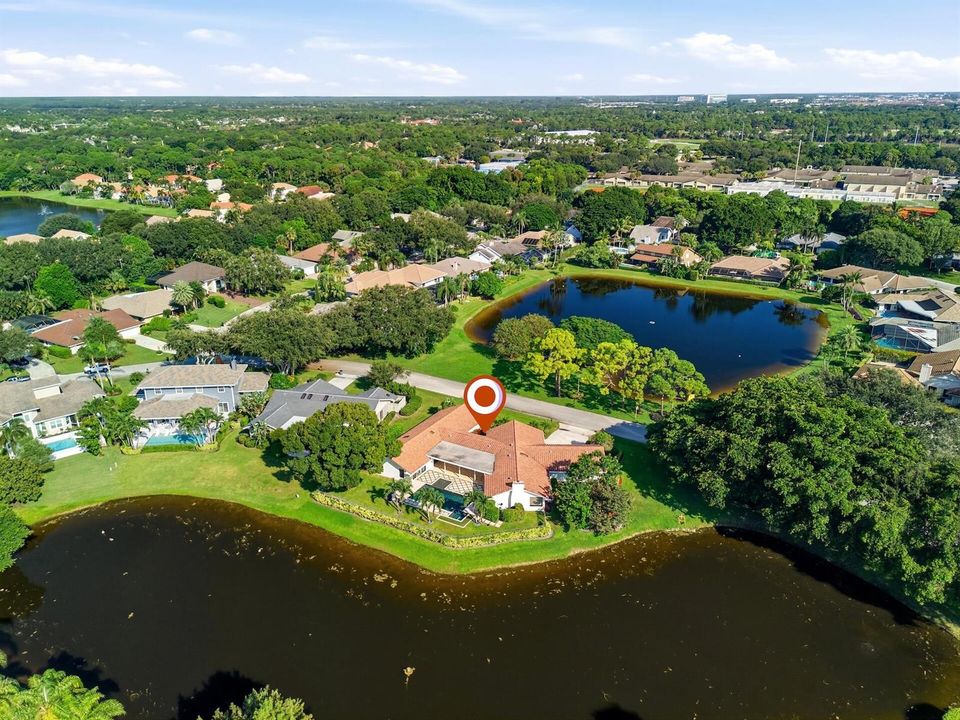 Aerial Neighborhood