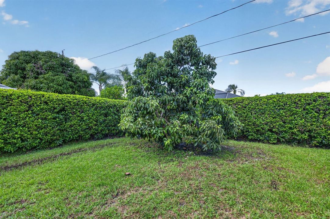 43-web-or-mls-3A5A4945