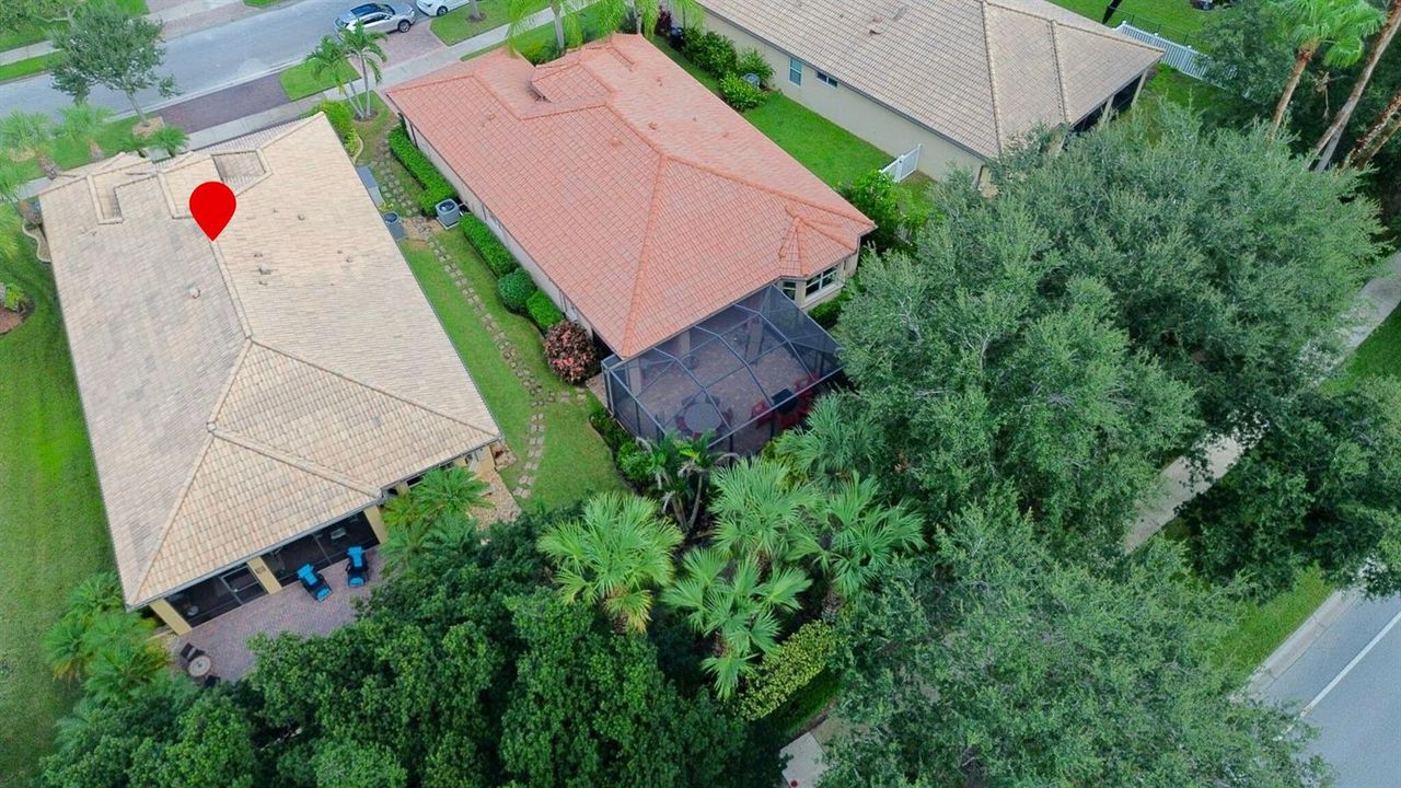Aerial Rear