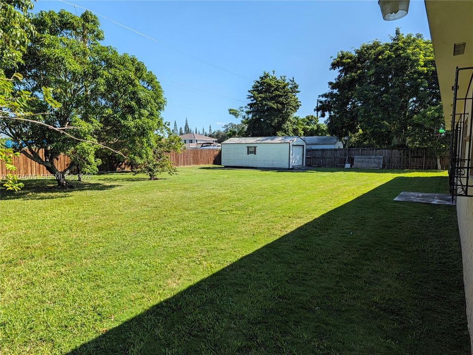 Expansive backyard featuring a large grass lawn, mature trees, a detached storage shed, and perimeter wood fencing