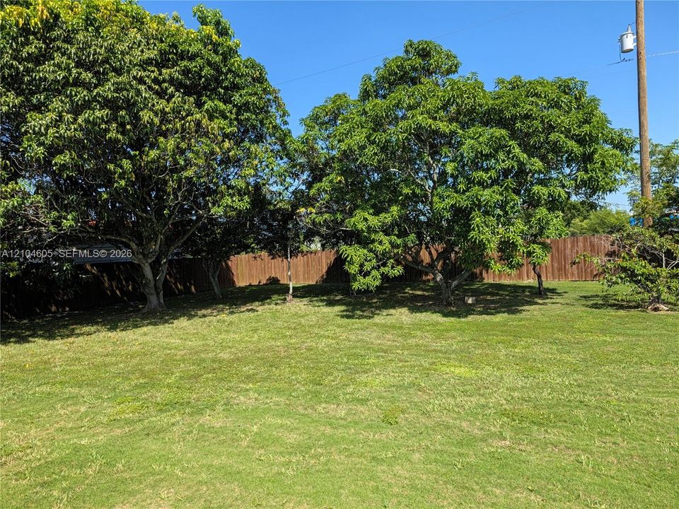 Spacious outdoor area featuring a grass lawn, mature trees, and a wood privacy fence