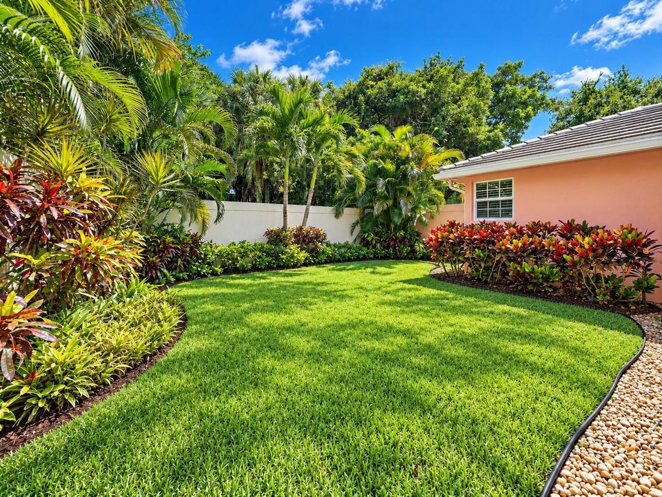 Beautiful Backyard