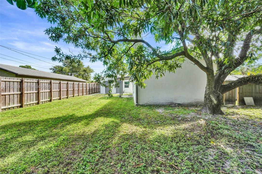 Private backyard with mature mango tree