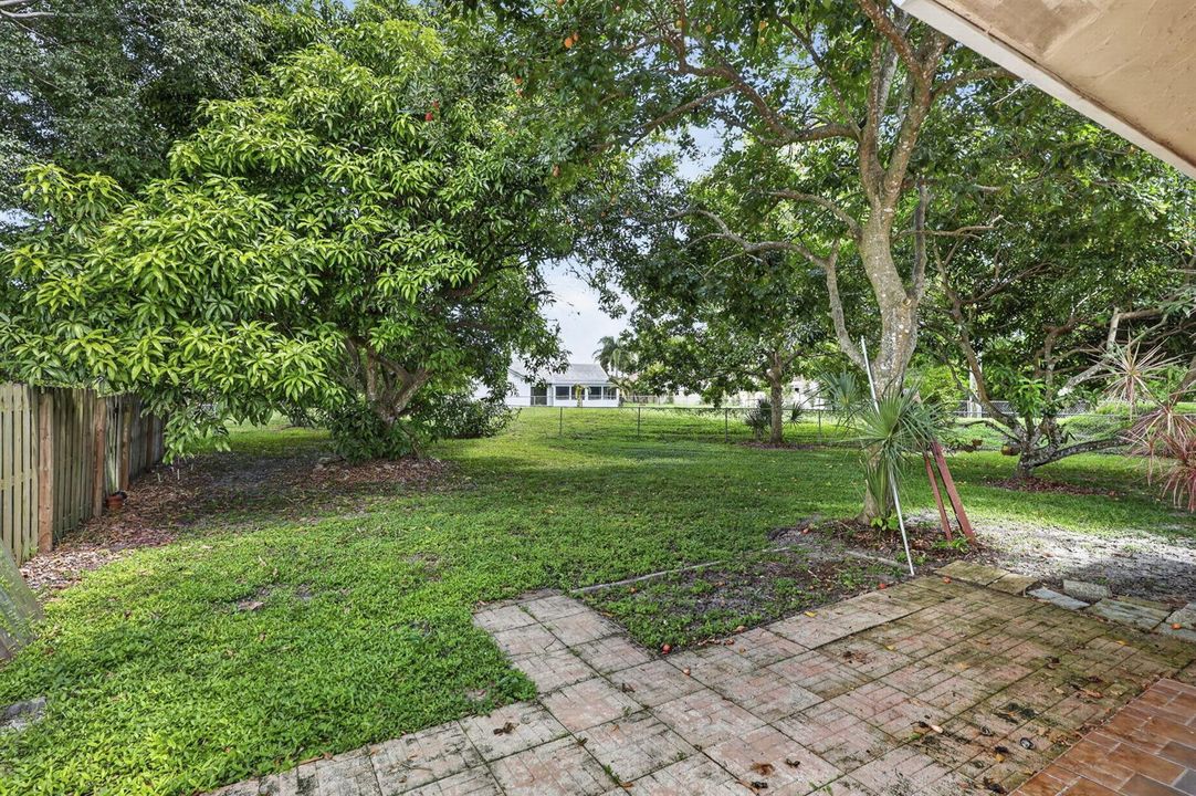 Backyard