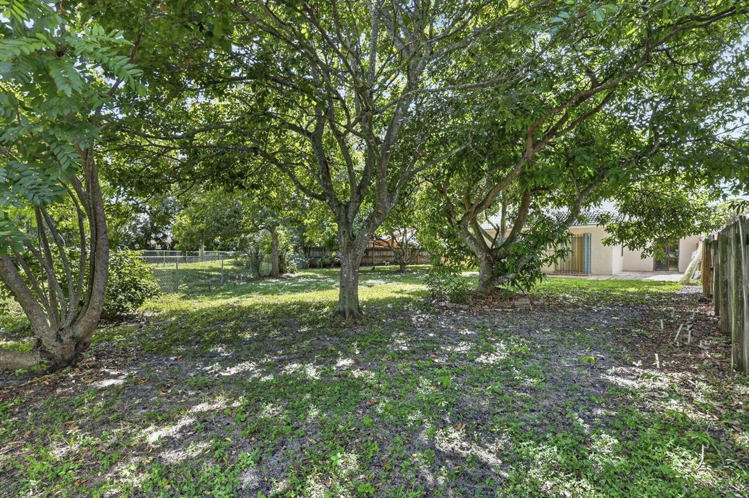 Backyard