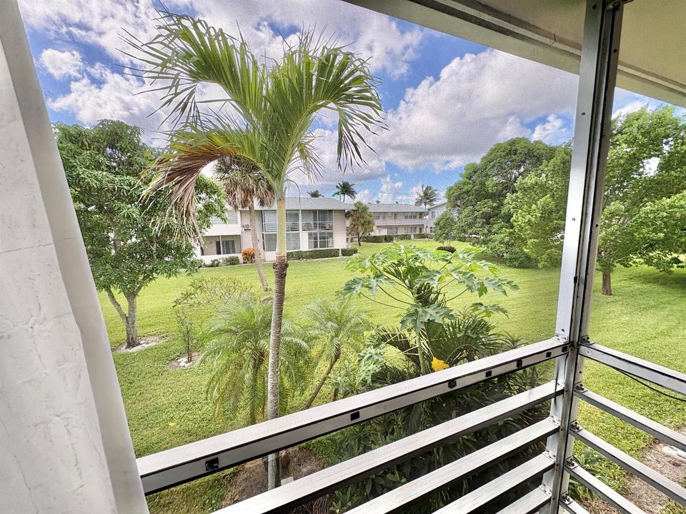 garden view