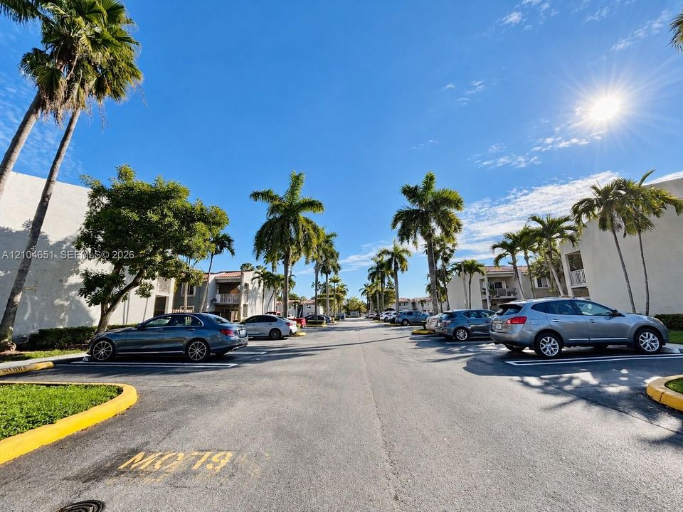 Surface parking area featuring asphalt pavement, painted curbing, and mature palm tree landscaping
