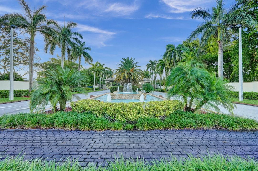 66-web-or-mls-DSC07607